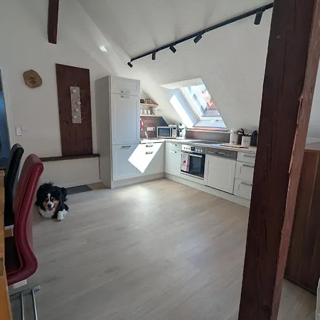 Rheinwald Lägenhet Hartheim am Rhein